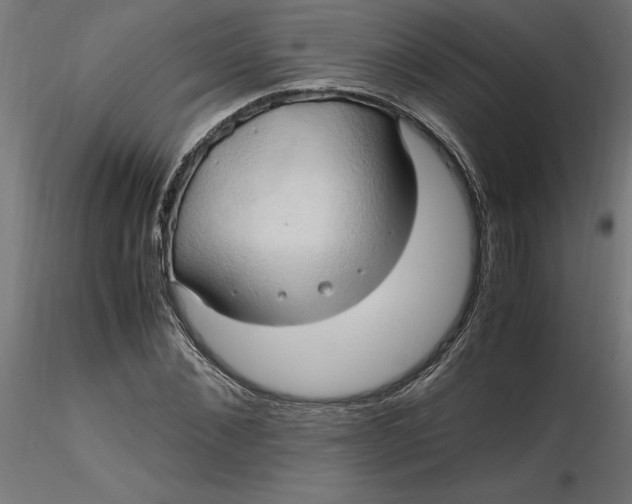 X0000116680876200912291717