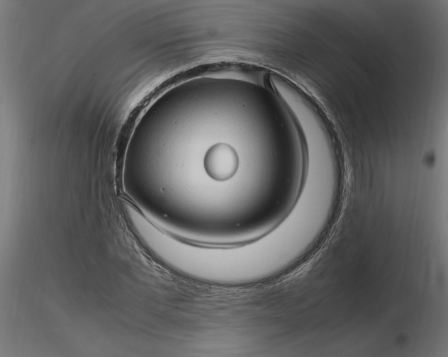 X0000116680877200912291717