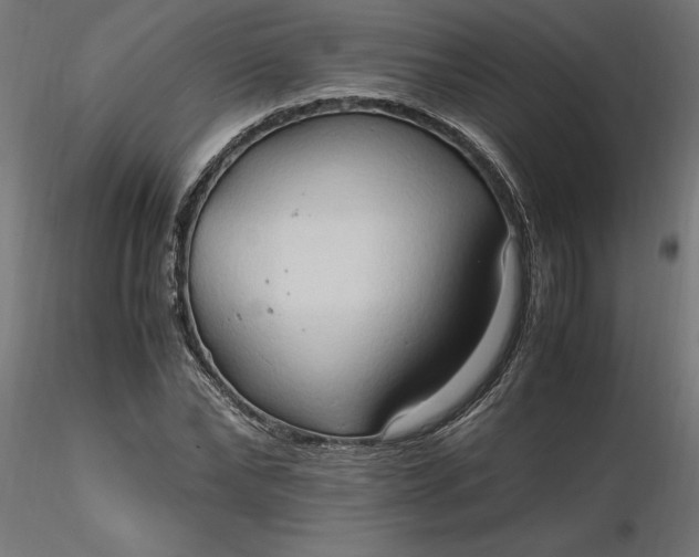 X0000116680878200912291717