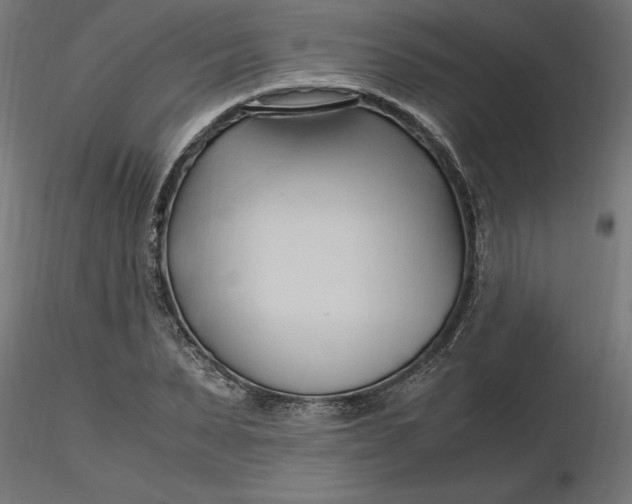 X0000116680879200912291717