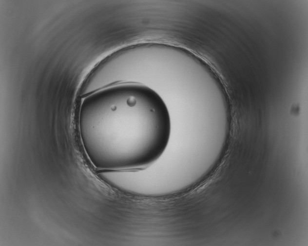 X0000116680880200912291717