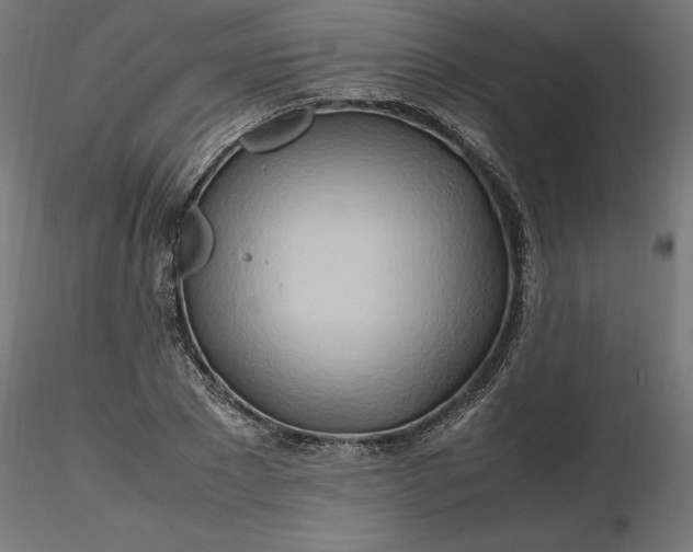 X0000116680881200912291717