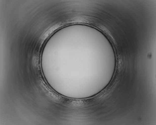 X0000116680882200912291717