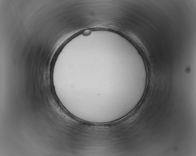 X0000116680884200912291717