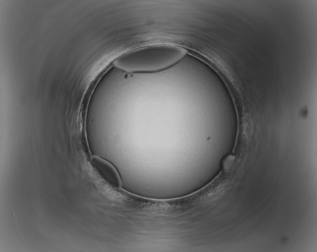 X0000116680885200912291717