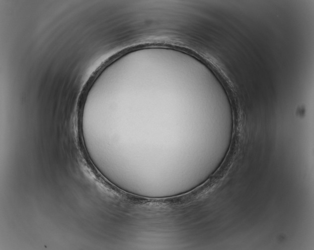 X0000116680888200912291717