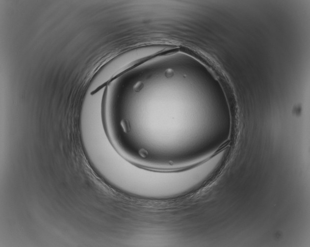 X0000116680889200912291717