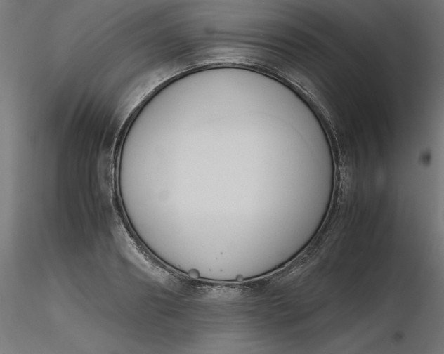 X0000116680890200912291717