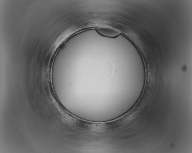 X0000116680893200912291717