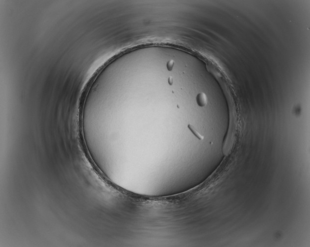 X0000116680894200912291717