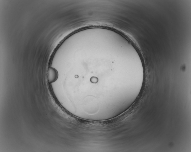 X0000116680895200912291717