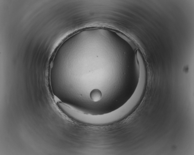 X0000116680896200912291717