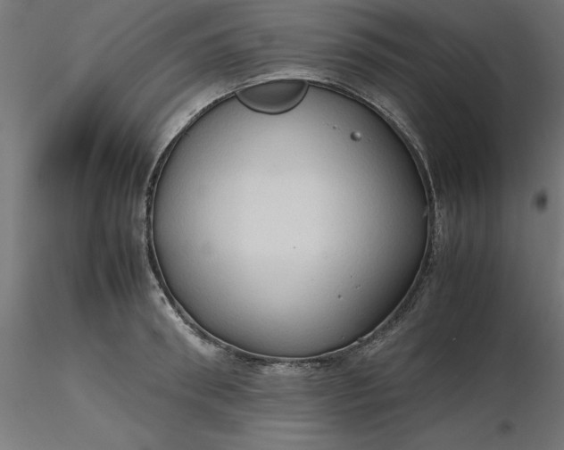 X0000116680898200912291717