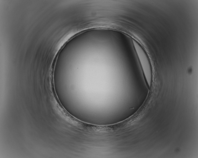 X0000116680899200912291717