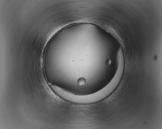 X0000116680900200912291717