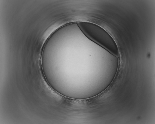 X0000116680901200912291717