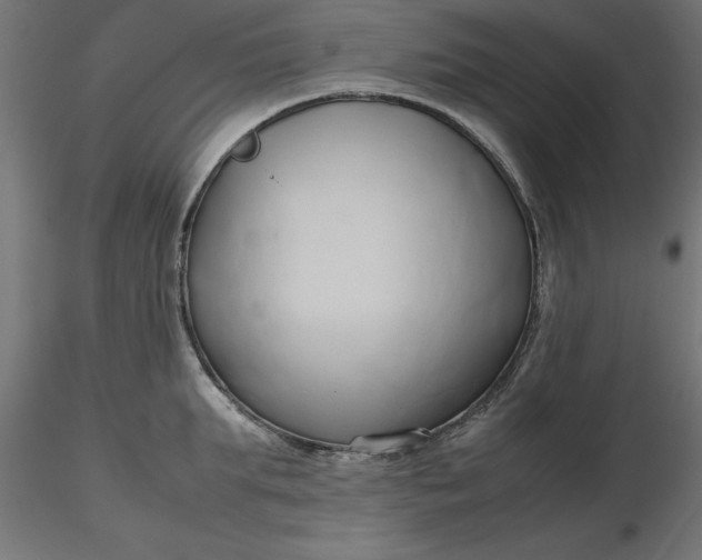 X0000116680903200912291717