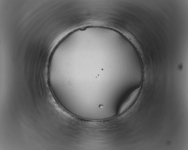 X0000116680904200912291717