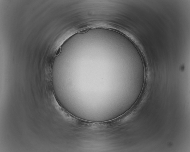 X0000116680905200912291717