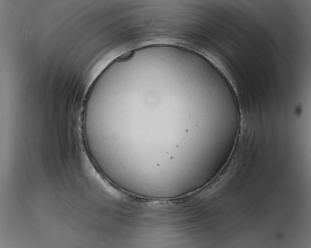 X0000116680906200912291717