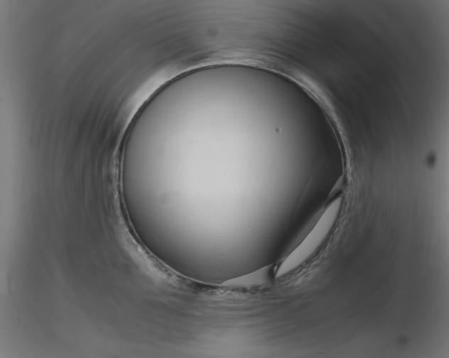 X0000116680907200912291717