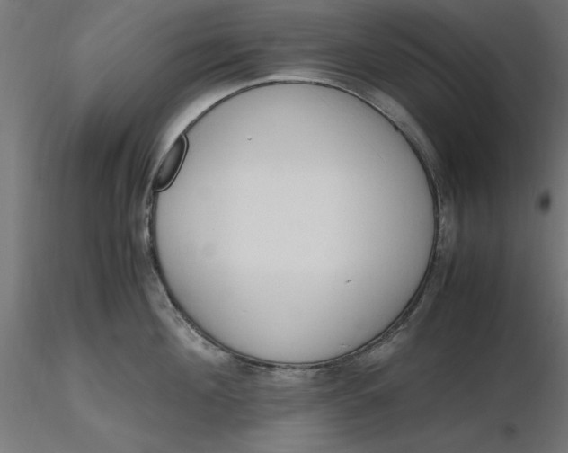 X0000116680908200912291717