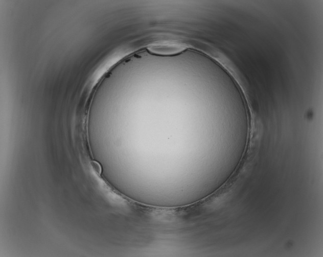 X0000116680909200912291717