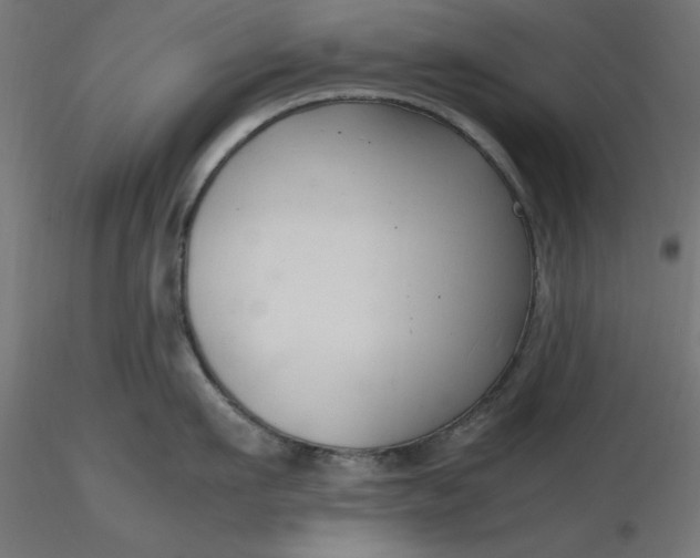 X0000116680911200912291717