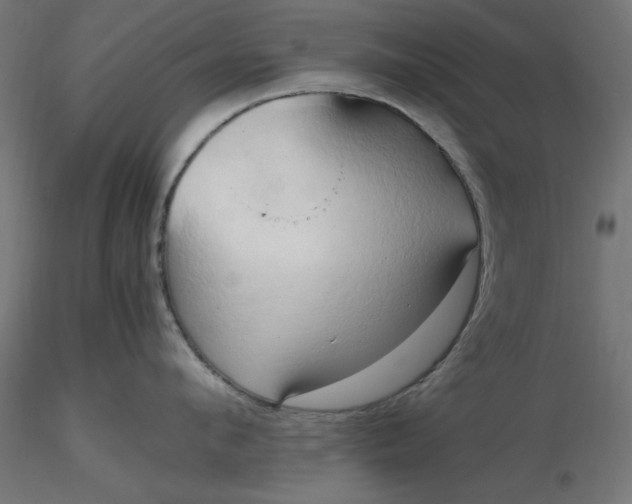 X0000116680912200912291717