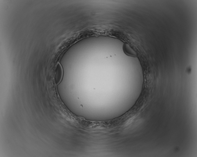 X0000116680913200912291716