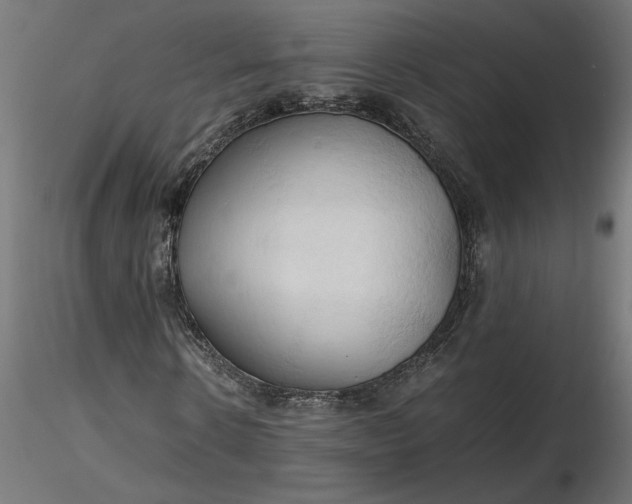 X0000116680914200912291716