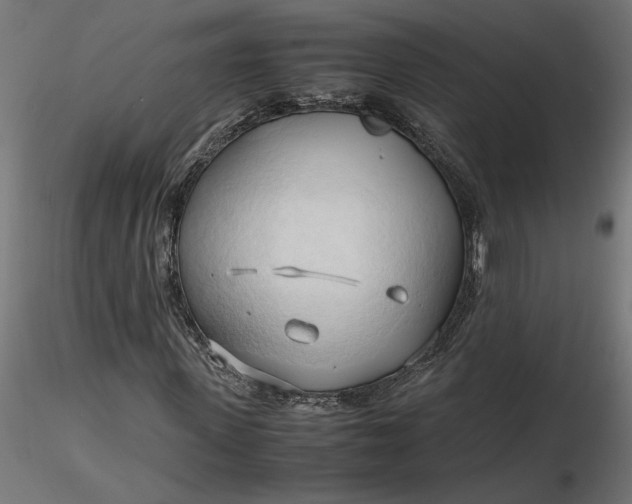 X0000116680915200912291716