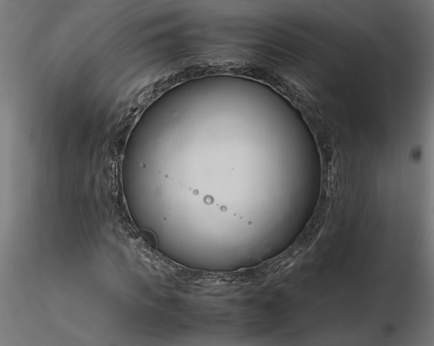 X0000116680917200912291716