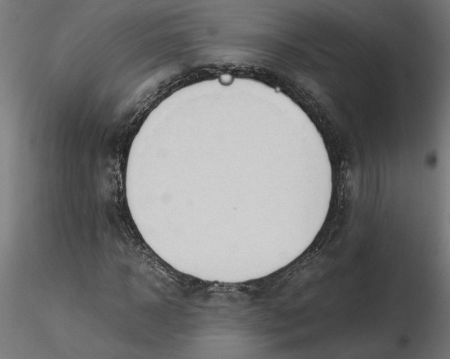 X0000116680918200912291716