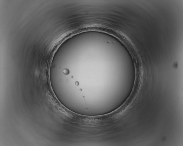 X0000116680921200912291716