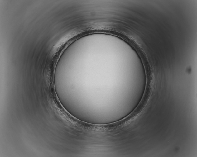 X0000116680922200912291716