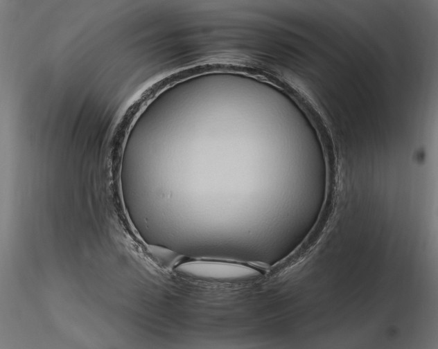 X0000116680923200912291716