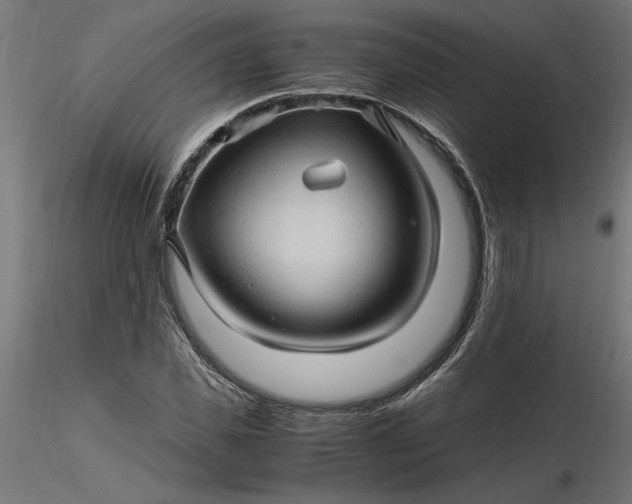 X0000116680925200912291716