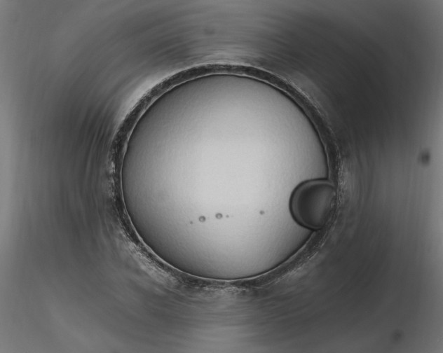 X0000116680926200912291716