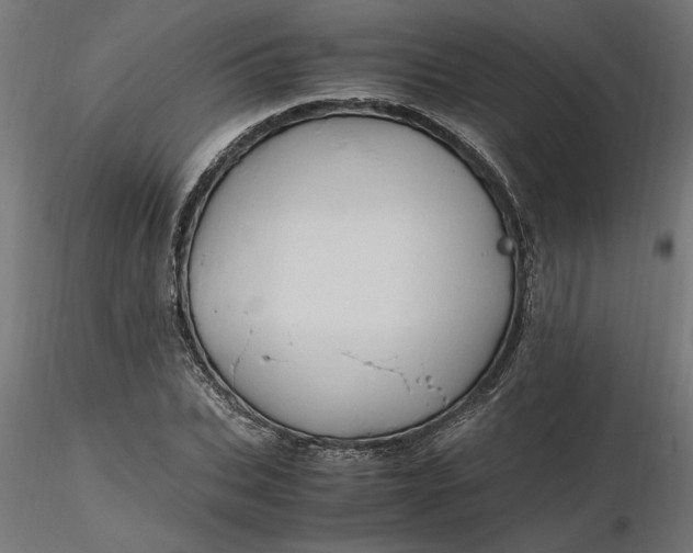 X0000116680927200912291716