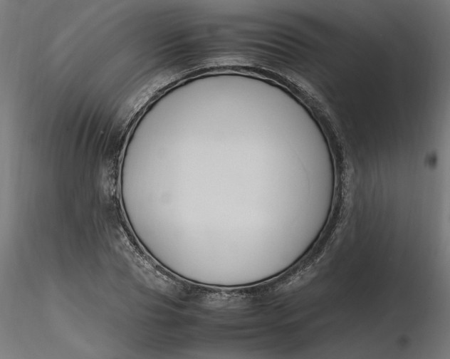 X0000116680929200912291716