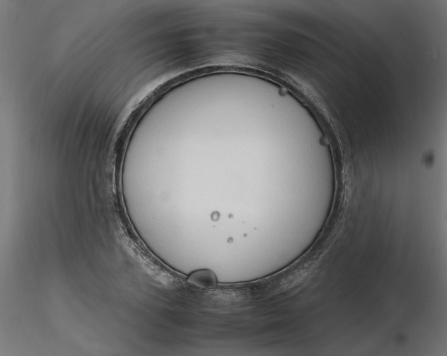 X0000116680931200912291716