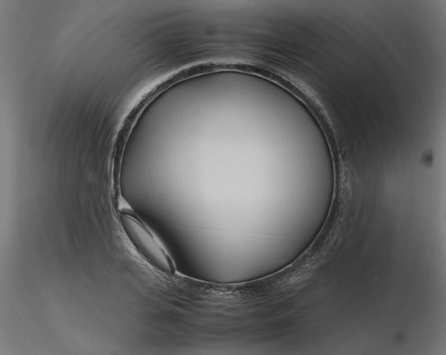 X0000116680935200912291716