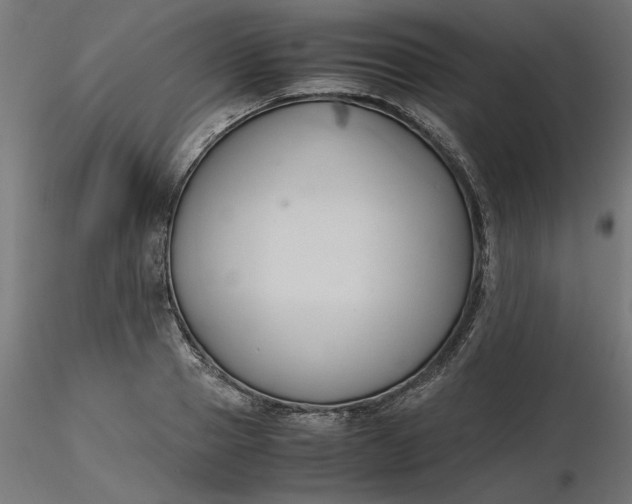 X0000116680937200912291716