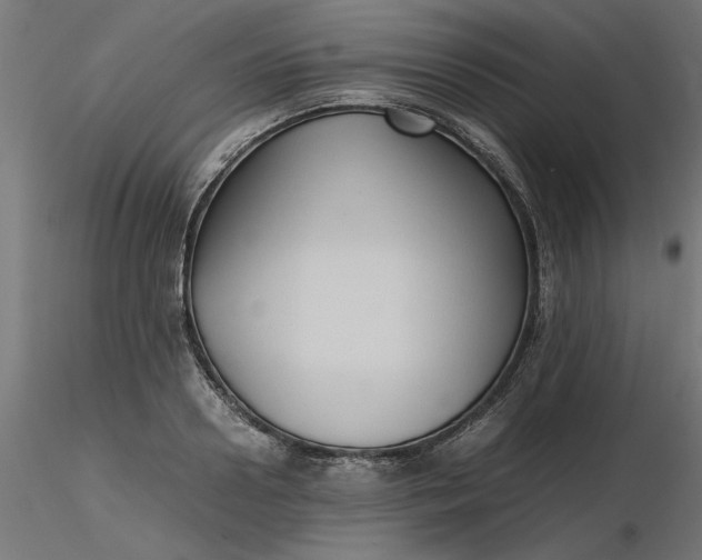 X0000116680938200912291716