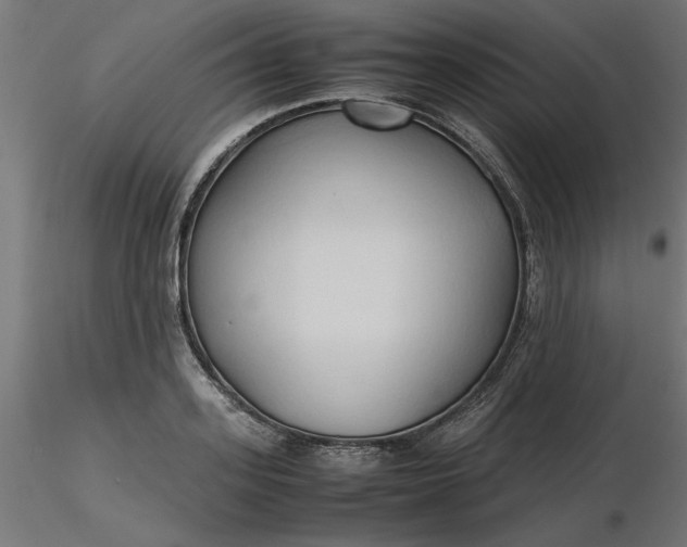 X0000116680939200912291716