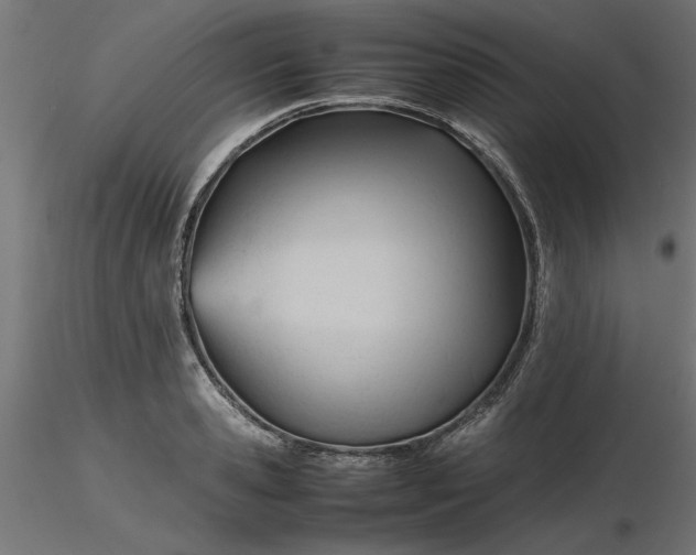 X0000116680941200912291716