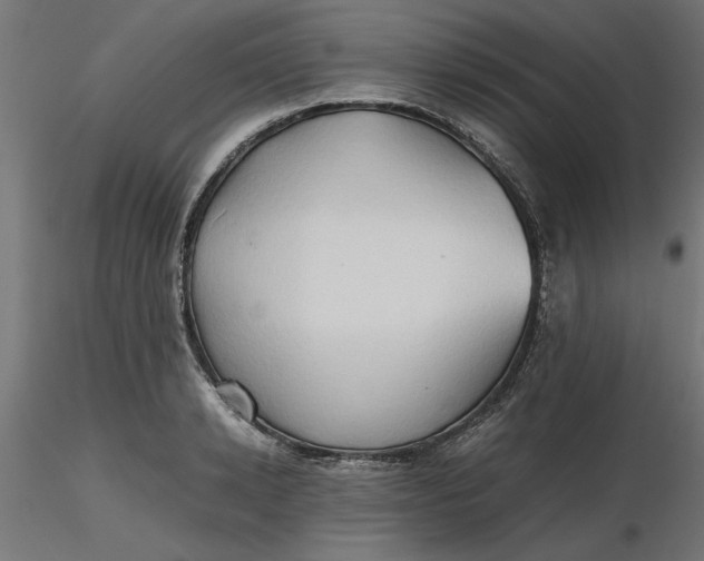 X0000116680942200912291716