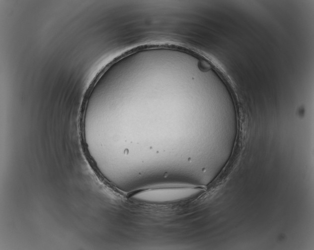 X0000116680943200912291716