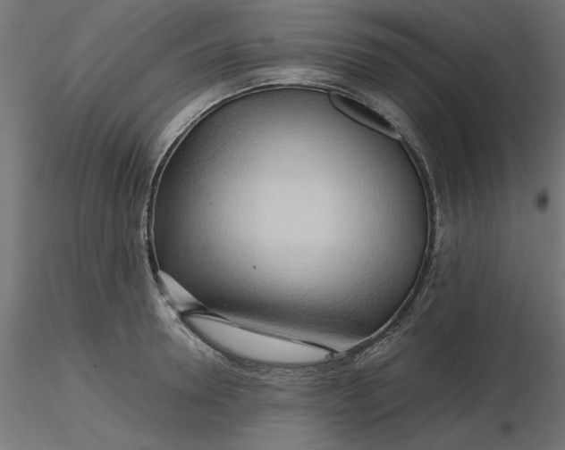 X0000116680946200912291716